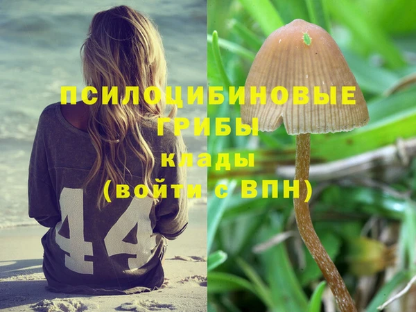марки nbome Алзамай