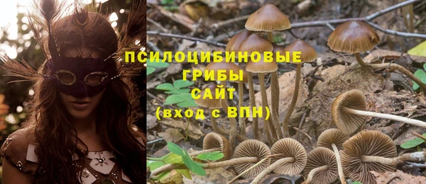 марки nbome Алзамай