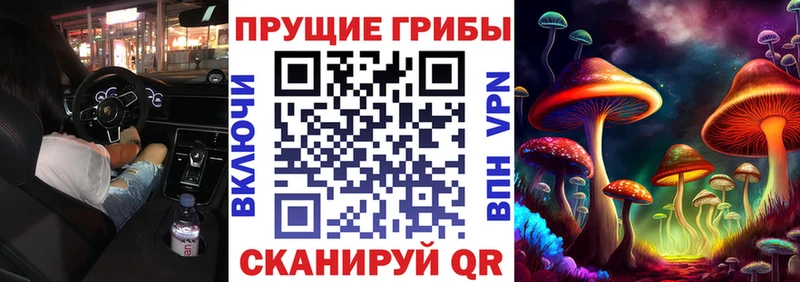 Псилоцибиновые грибы мицелий  Ковылкино 